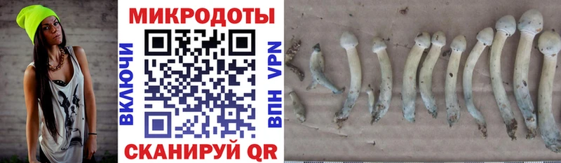 МЕГА маркетплейс  купить   Щучье  Галлюциногенные грибы Magic Shrooms 